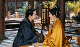 斛珠夫人电视剧,宫廷权谋与奇幻爱情的交织传奇